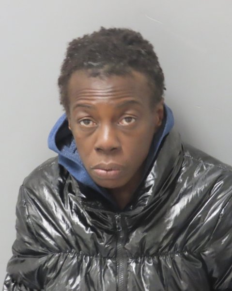 Mugshot of TAMARA D DORRIES