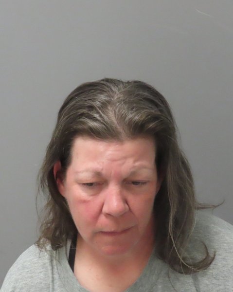 Mugshot of LISA A LEE