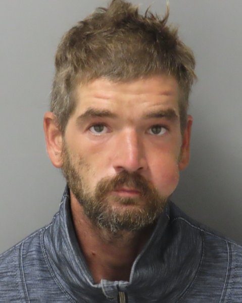 Mugshot of VLADMIR GREER