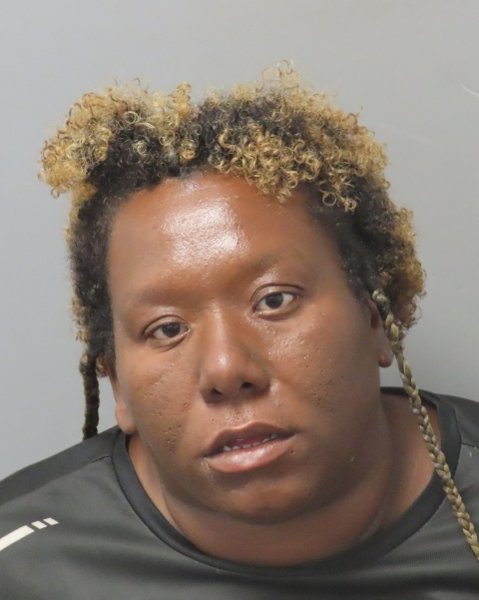 Mugshot of RASHA'E LATRICE JOHNSON