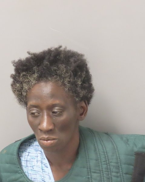 Mugshot of NICHELLE RANEE HAMILTON