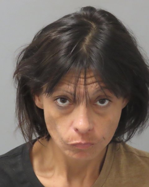 Mugshot of PAMELA ANNE VILLARREAL