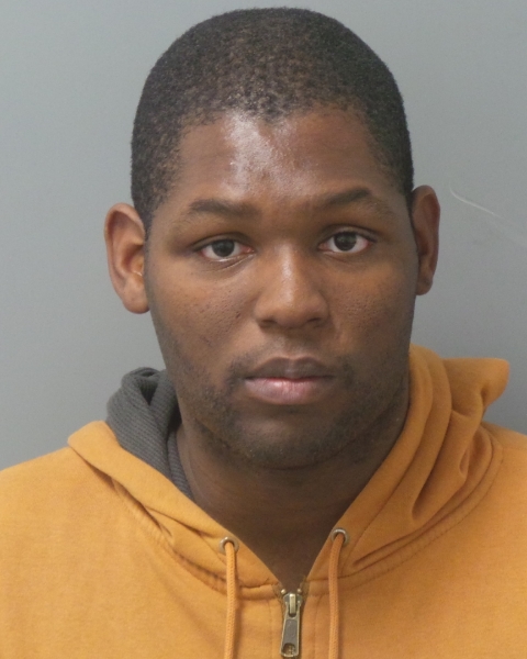 Mugshot of DANGLEO D ALFRED