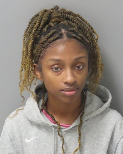 Mugshot of RONNEVA HOUSTON