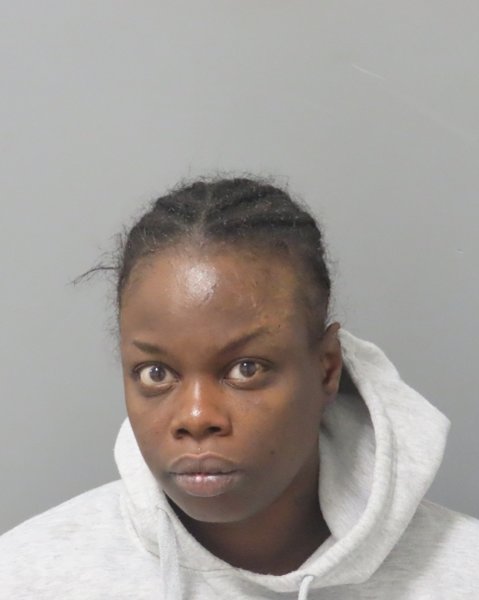 Mugshot of KRISTINA L FELIX