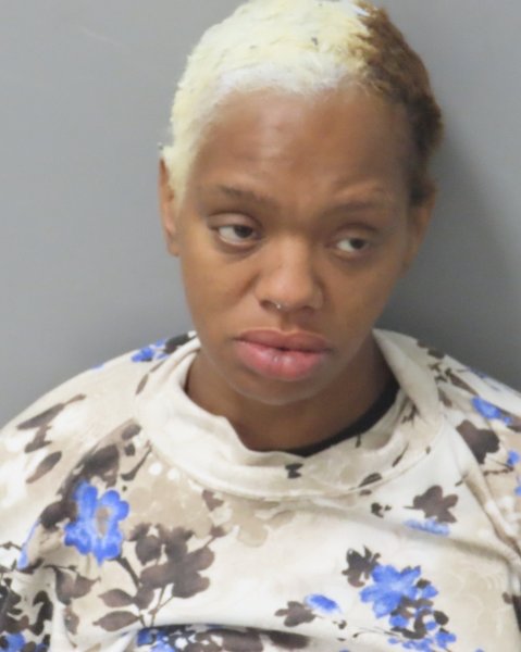 Mugshot of VANITA JEAN BRINKLEY