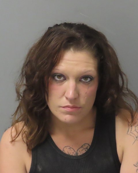 Mugshot of HANNAH MARIE ENDE-FIESER