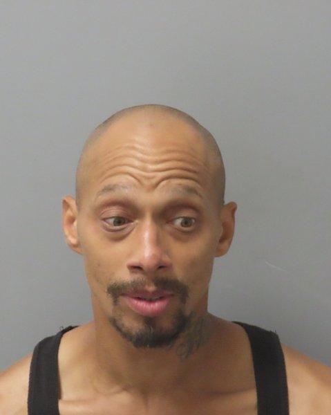 Mugshot of BRUCE LEON J WATSON