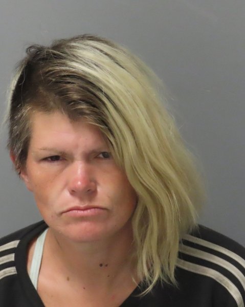 Mugshot of DANIELLE NICOLE REX