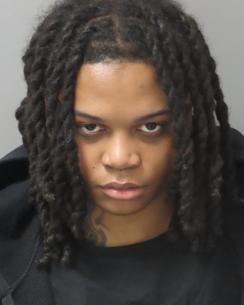 Mugshot of ROBERT J LEE