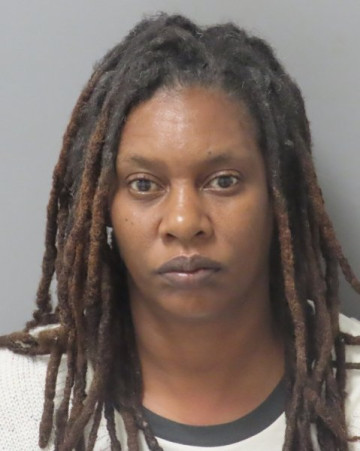 Mugshot of ERIKA WASH