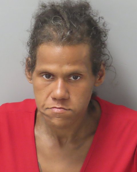 Mugshot of TANYA ROSEANN PEREZ