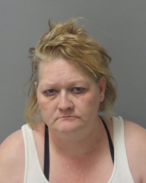 Mugshot of CHERYL ANN EVANS