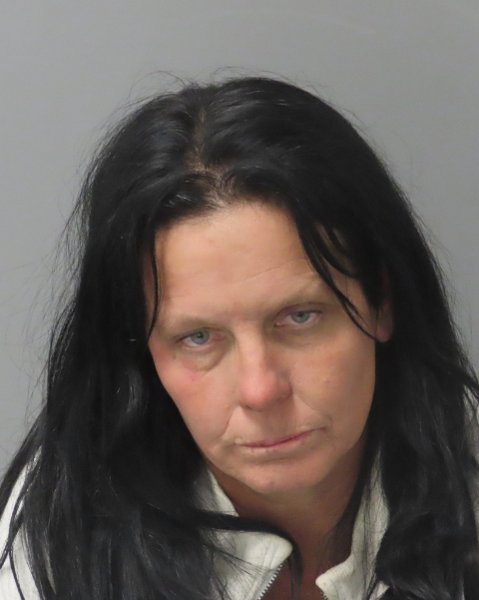Mugshot of DEANA ARLENA SARGENT
