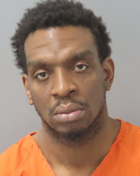 Mugshot of MICHAEL O PAYNES