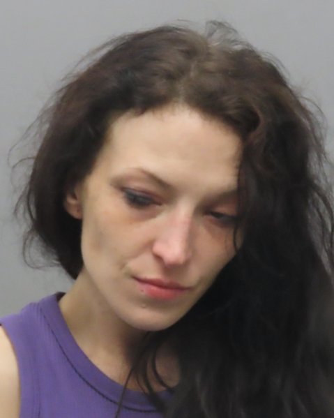 Mugshot of KAYLA DAWN SANDERS