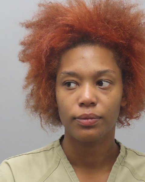 Mugshot of TYRA MICHELLE HAULCY-RODGERS