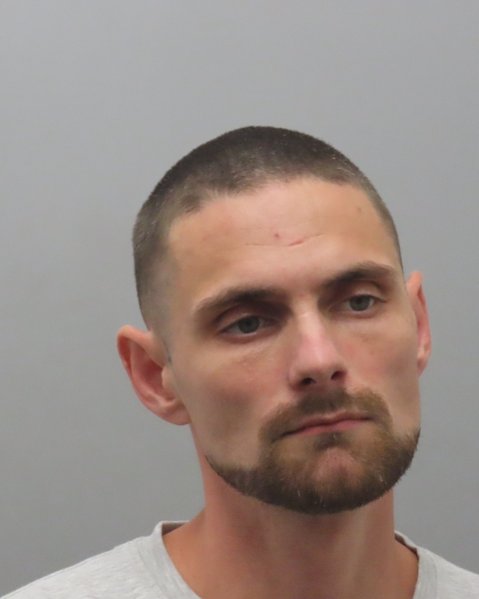 Mugshot of RICHARD DYLAN ROBARDS