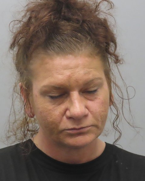 Mugshot of NICOLE MARIE MCDONALD