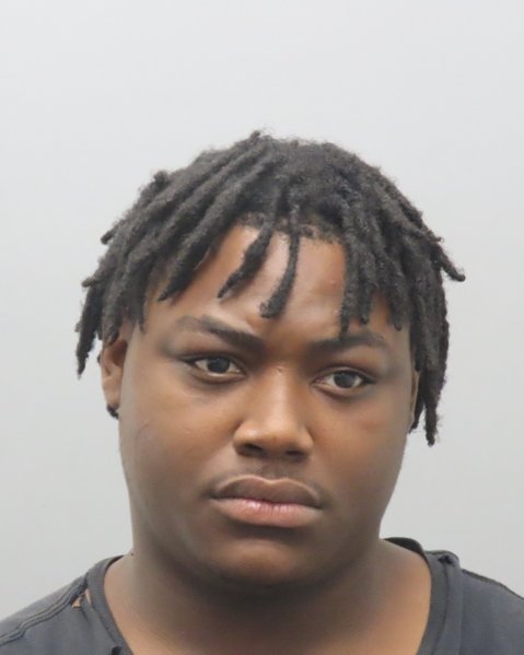 Mugshot of TERRENCE LAMONT 3 WORTHAM