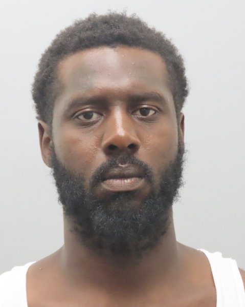 Mugshot of STEVEN J WALLS