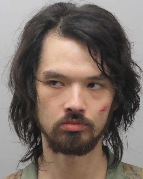 Mugshot of XINYANG XIANG