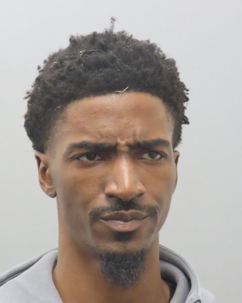 Mugshot of JEWELL W J ALLEN