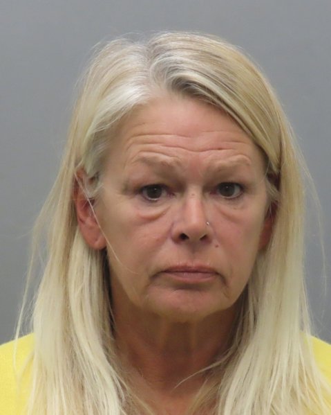Mugshot of DANA SANDAGE