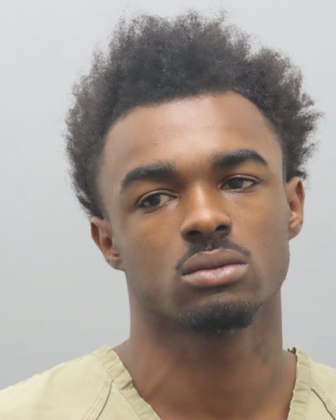Mugshot of TROY E WHITE
