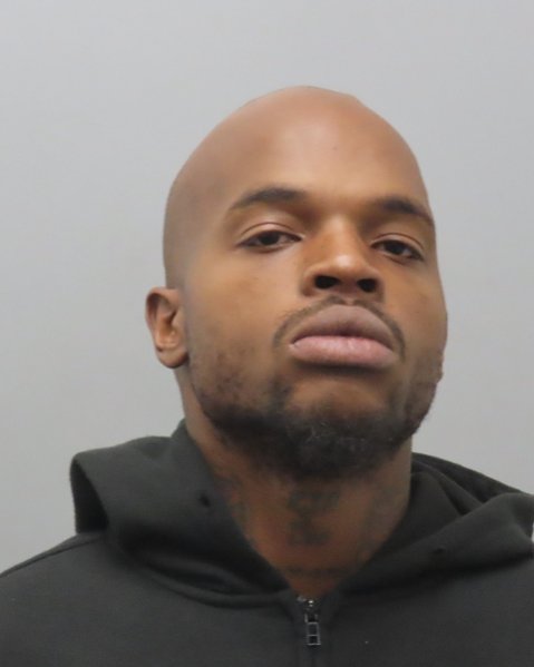 Mugshot of LAUTHA V J ANDERSON