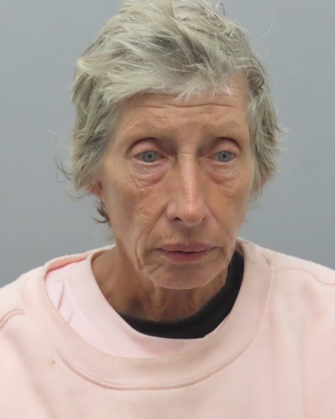 Mugshot of LAURIE A BERCZYNSKI
