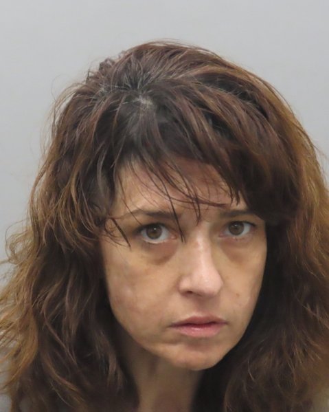 Mugshot of WENDY LYNN MC ATEE
