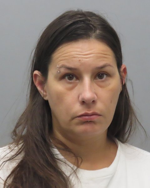 Mugshot of JENNIFER LEE TERWILLIGER
