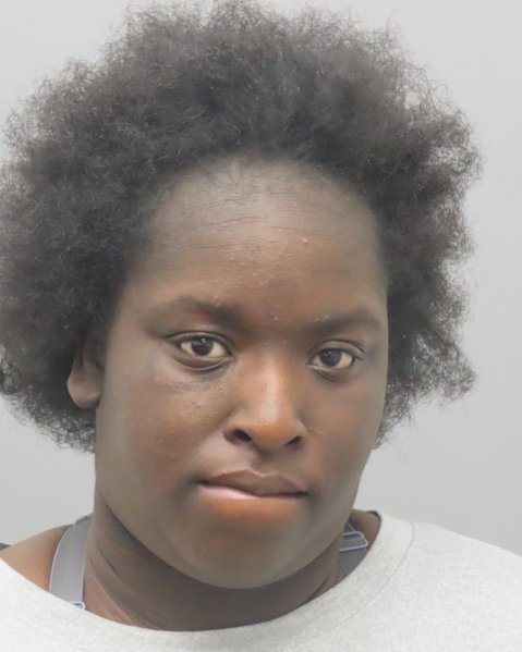 Mugshot of ARIONNA TAMYA FLEMING