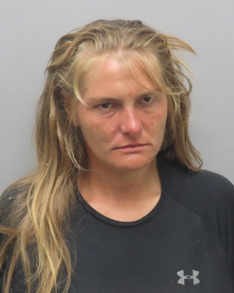 Mugshot of SAMANTHA MICHELLE MICNHEIMER