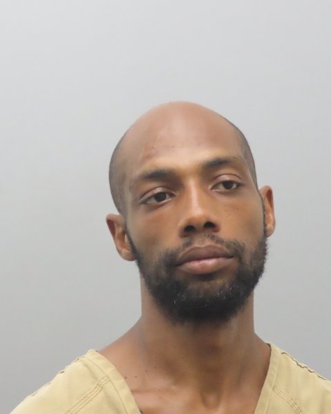 Mugshot of LORENZO LADINER