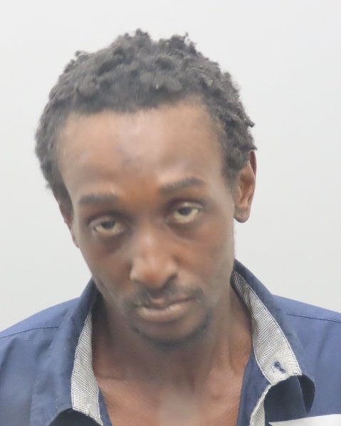 Mugshot of CHRISTOPHER MICHAEL S HOWARD