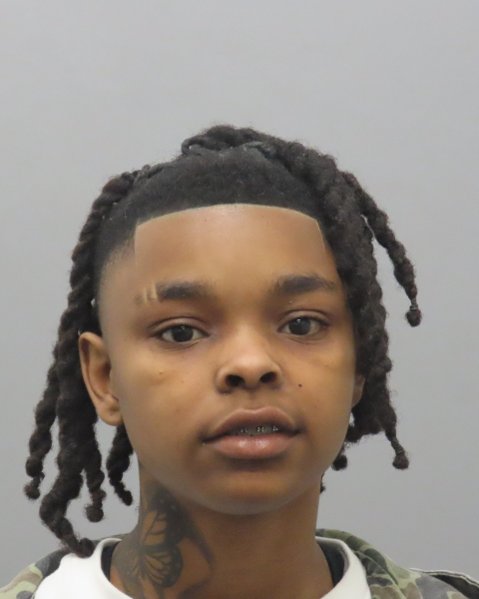 Mugshot of JANELLE AIGNER-MARIE JONES