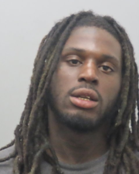 Mugshot of TERRELL LAMAR J GHOLSON