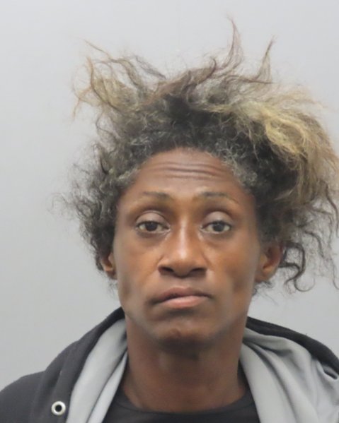 Mugshot of PORTIA LATYIA WILSON