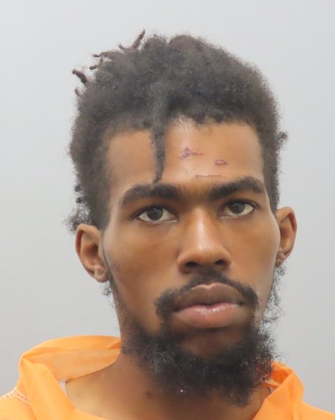 Mugshot of AUDWIN LAWSON J REED