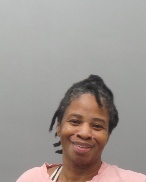 Mugshot of DANITA ANN HODGE