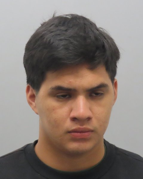 Mugshot of ODILVE RODRIGUEZ