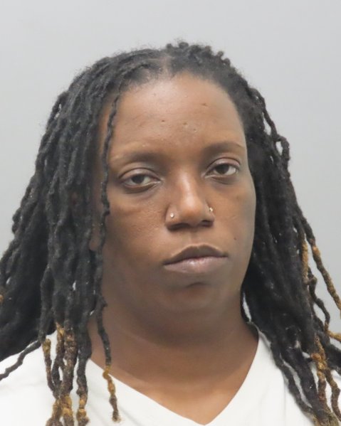 Mugshot of AMANDA E EVANS
