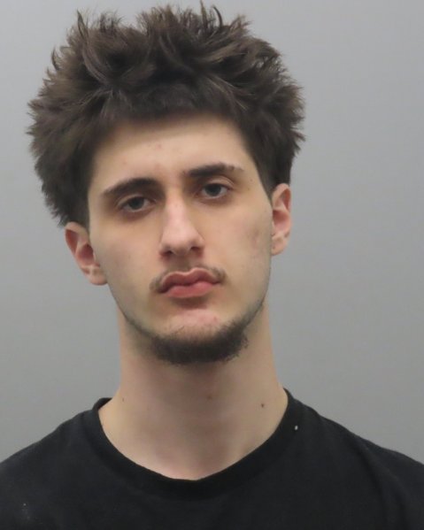 Mugshot of LOGAN RAINE