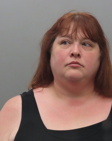 Mugshot of LAURA E HESSE
