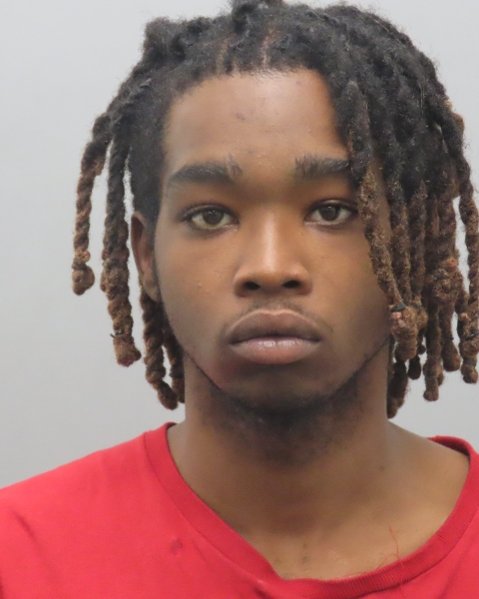 Mugshot of KASIM EVAN LEE