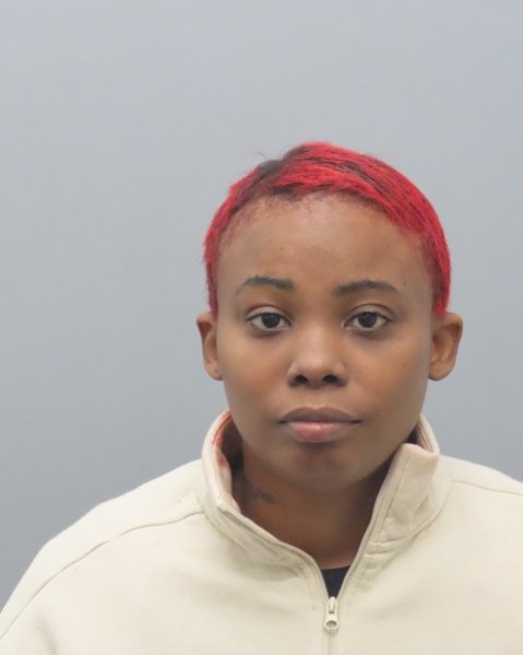 Mugshot of DAJUANA LAKWAANZA DOBBS