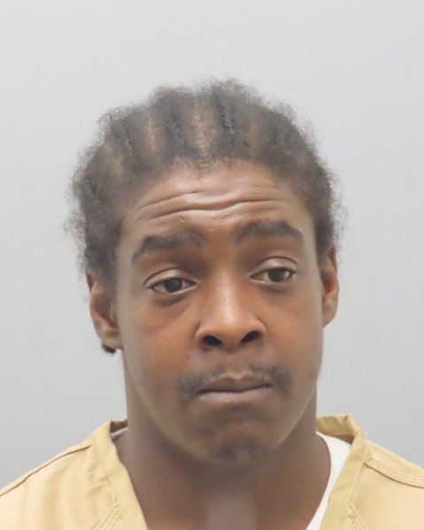 Mugshot of DAVID J GREEN