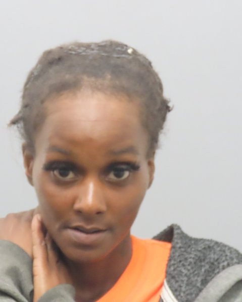 Mugshot of TIARA LATASHA PAINE